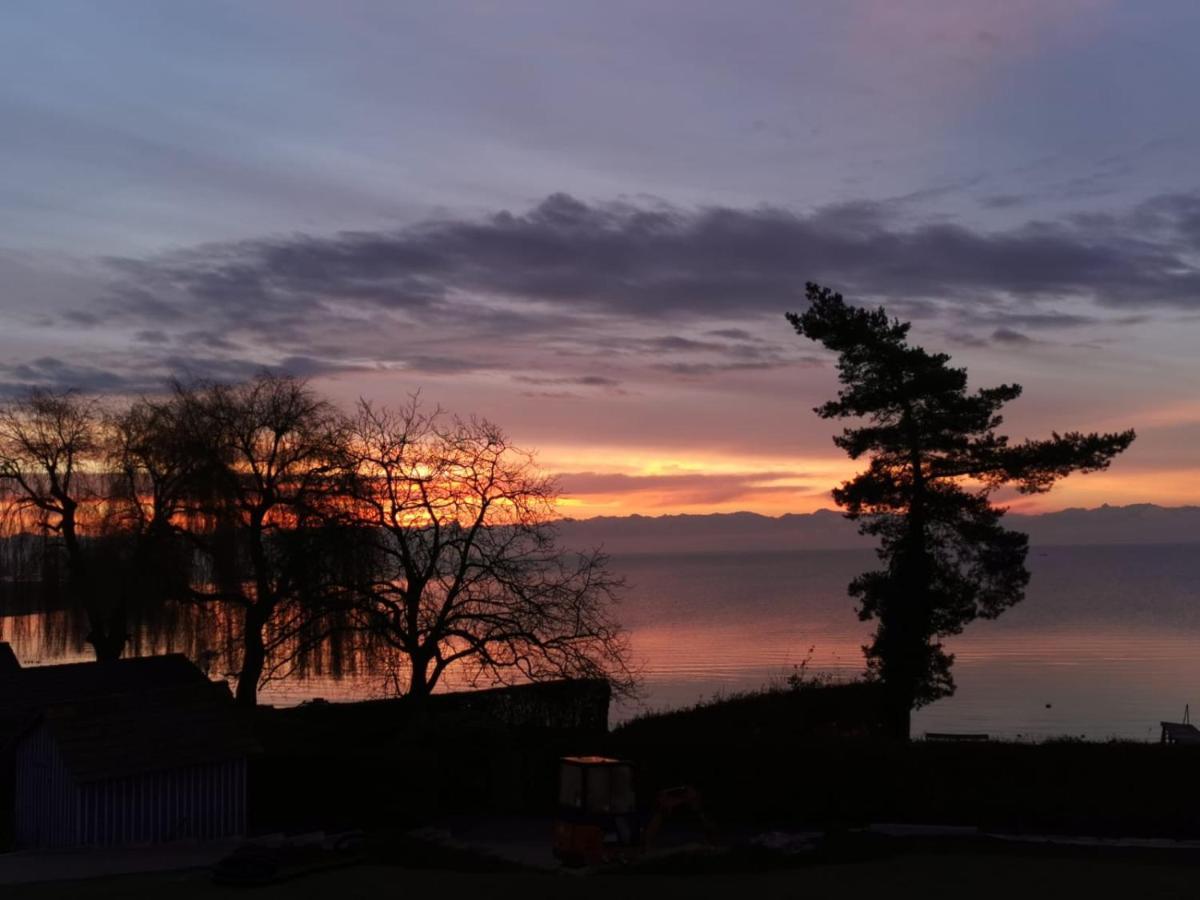 Gaestehaus Zum Landesteg Immenstaad am Bodensee Esterno foto