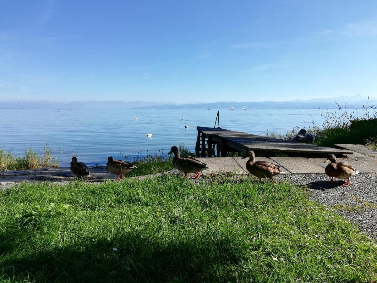 Gaestehaus Zum Landesteg Immenstaad am Bodensee Esterno foto