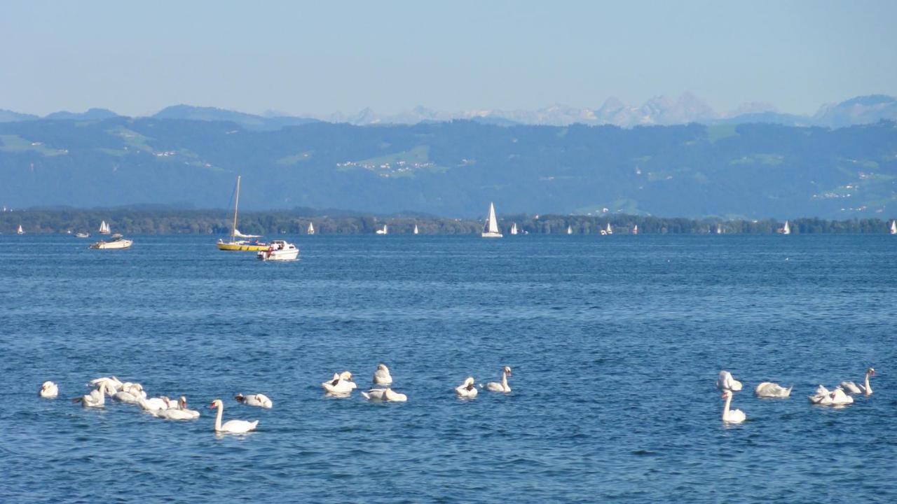 Gaestehaus Zum Landesteg Immenstaad am Bodensee Esterno foto